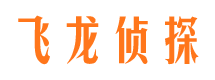 洪雅市调查公司